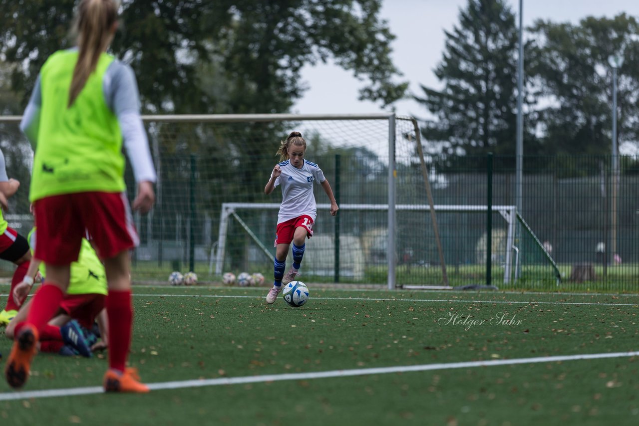 Bild 241 - C-Juniorinnen HSV - Walddoerfer : Ergebnis: 9:1